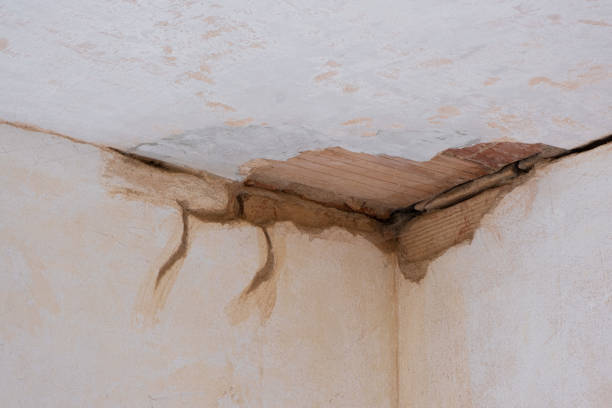 Pheasant Run, OH Water damage restoration Company