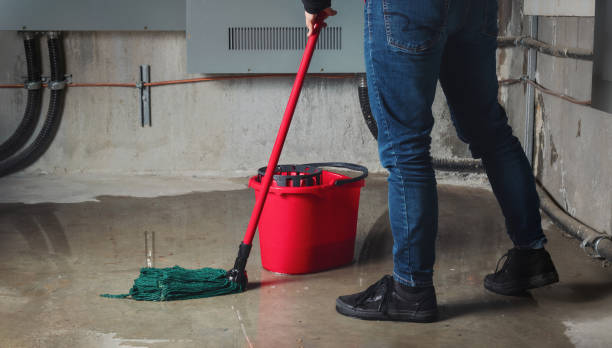 Best Water damage mitigation services  in Pheasant Run, OH
