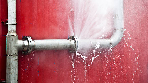 Best Residential water damage restoration  in Pheasant Run, OH