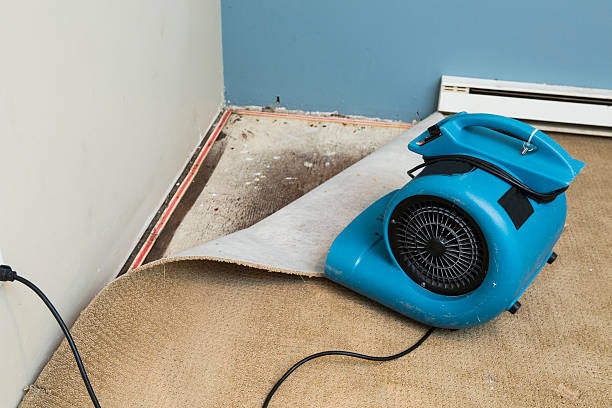 Best Water damage restoration near me  in Pheasant Run, OH